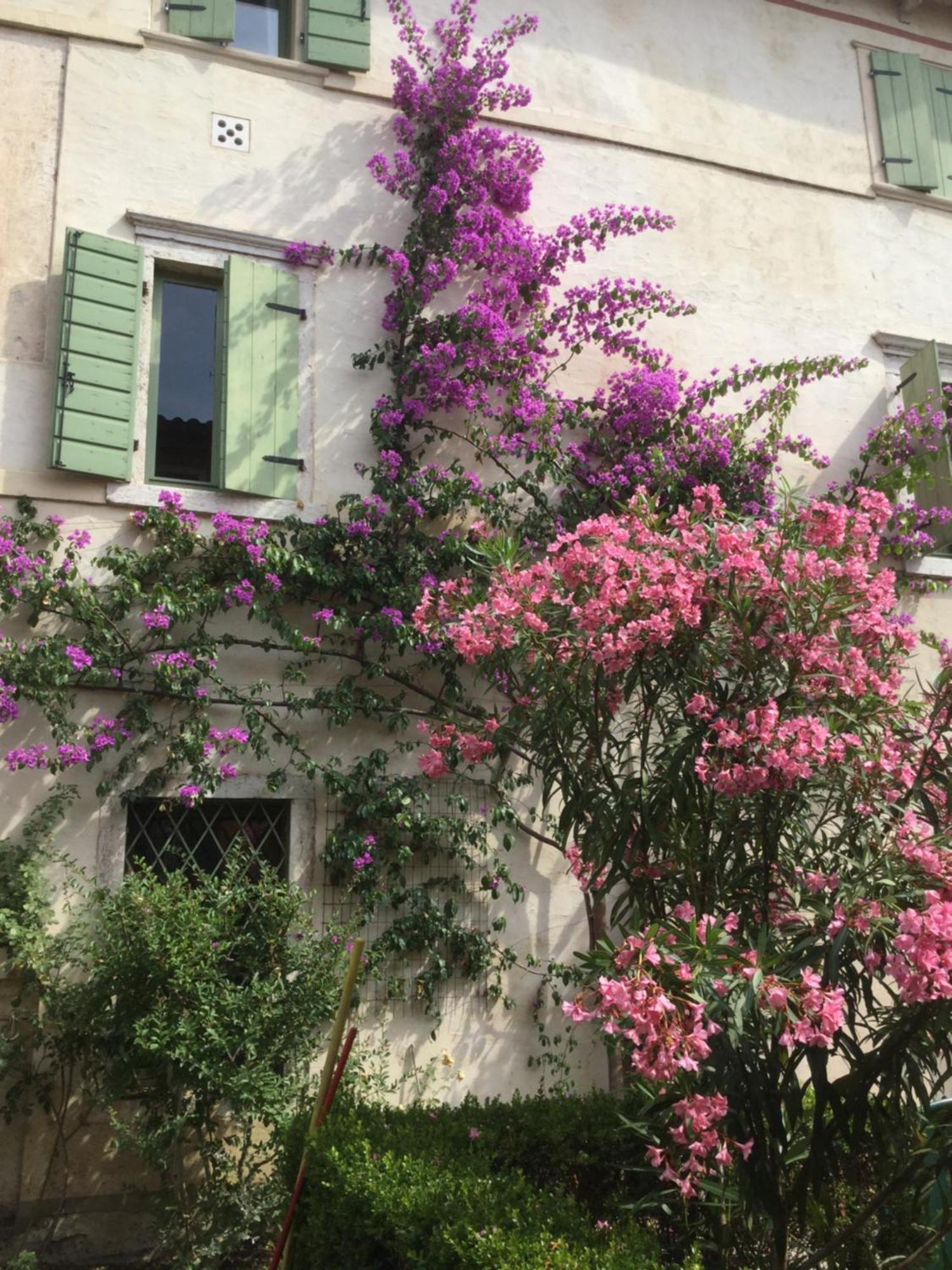 Villa Cisano Residenza D'Epoca Bardolino Eksteriør bilde
