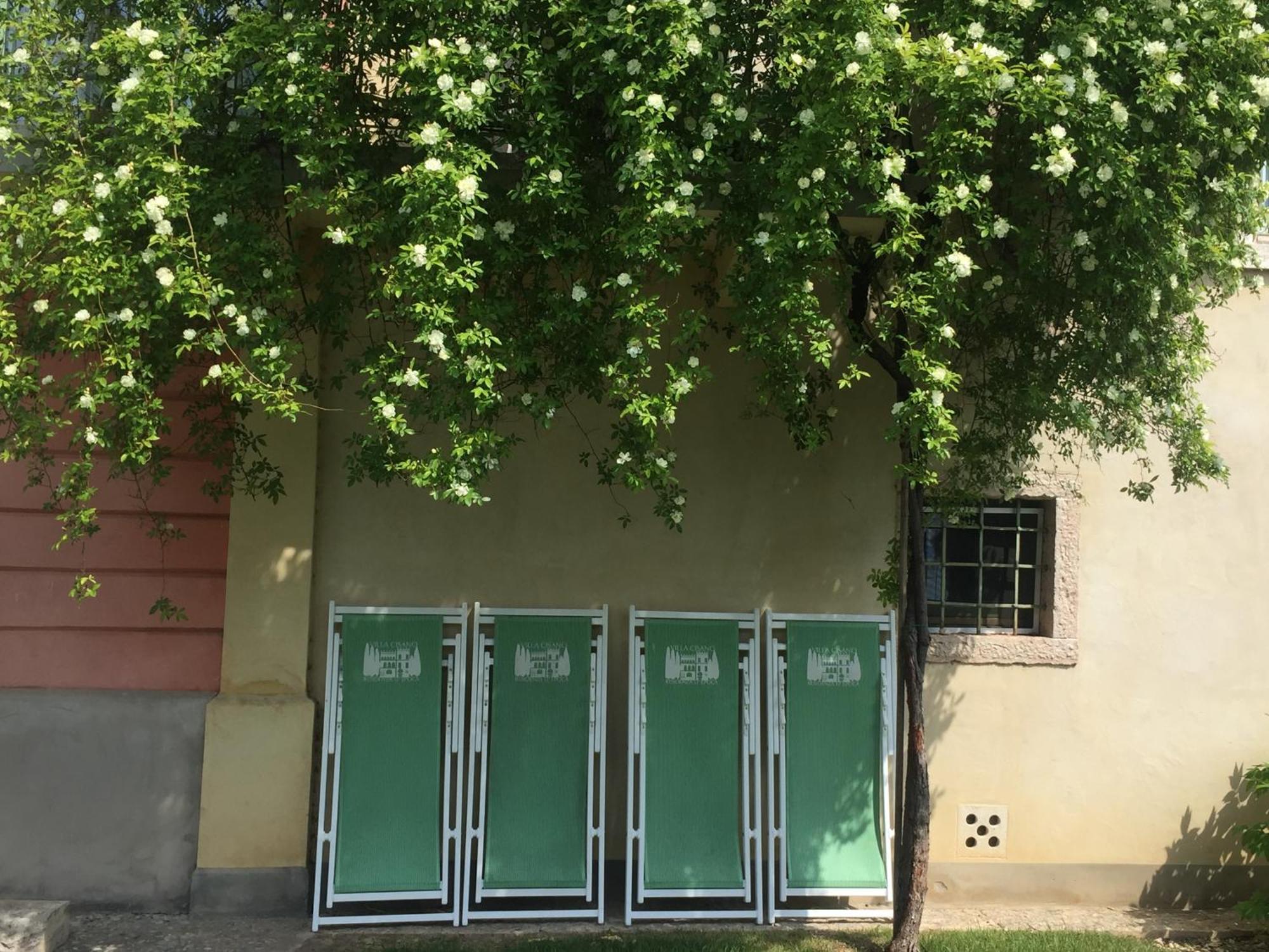 Villa Cisano Residenza D'Epoca Bardolino Eksteriør bilde
